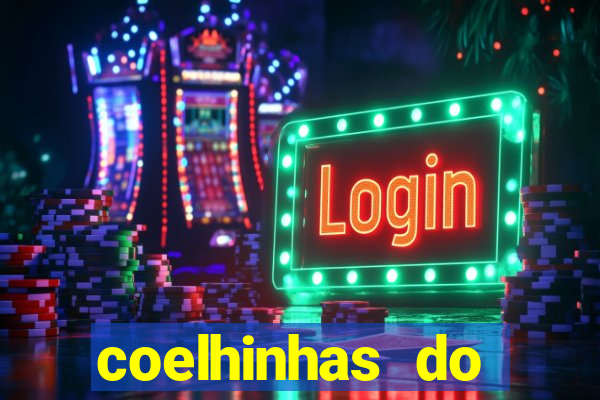 coelhinhas do brasil site